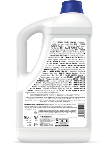 SANITEC - Hand Wash 5L Sapone Liquido Mano