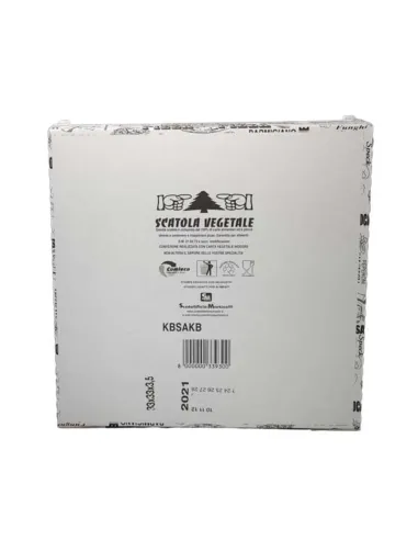 100 Scatole per Pizza da Asporto 33×33×3,5 cm – Chiusura Italiana, Alta Qualità e Sostenibilità