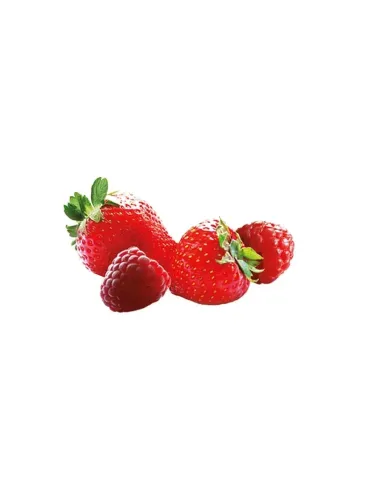 Sandemetrio Infuso Fragola e Lampone 18 Filtri
