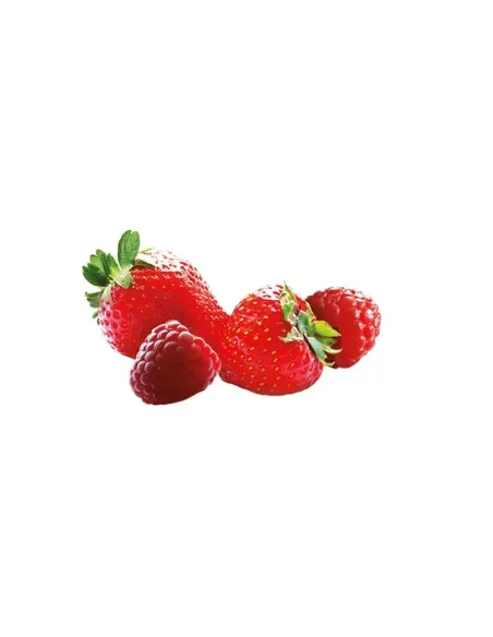 Sandemetrio Infuso Fragola e Lampone 18 Filtri