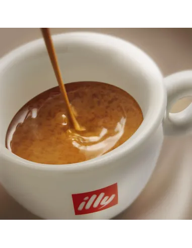 200 Cialde Caffè Illy tostato FORTE