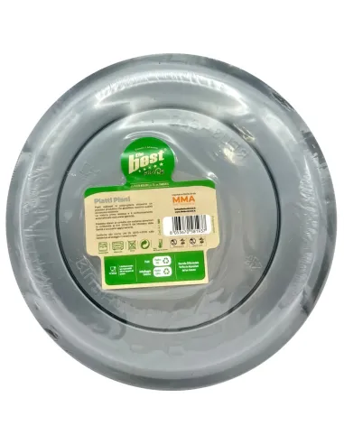 20 Piatti Piani Riutilizzabili Argento Diametro 22 cm| The Best