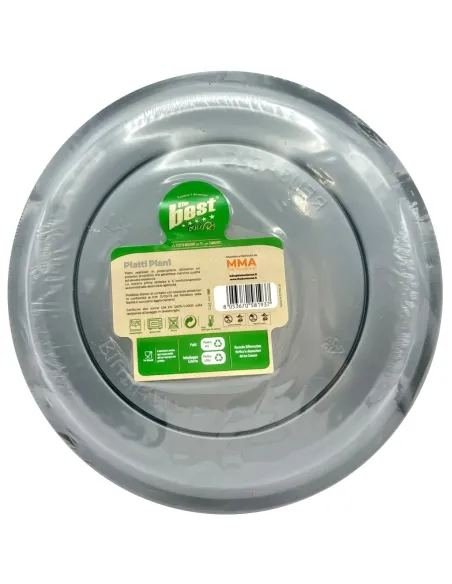 20 Piatti Piani Riutilizzabili Argento Diametro 22 cm| The Best