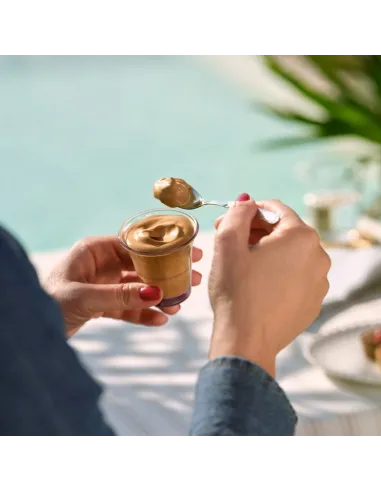 Offerta Crema Caffè Borbone con Baileys BRICK da 550g senza lattosio e senza glutine