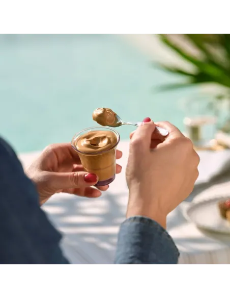 Offerta Crema Caffè Borbone con Baileys BRICK da 550g senza lattosio e senza glutine