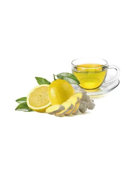 18 Cialde ese 44 Sandemetrio Zenzero e Limone