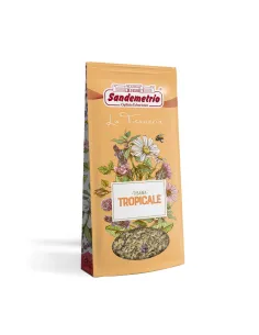 Sandemetrio Tisana tropicale in sacchetto 100 gr