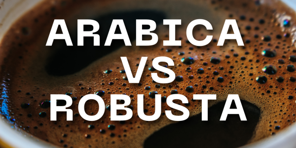 La Scelta Perfetta: Differenza tra Miscele di Caffè Arabica e Robusta